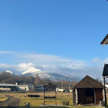 Карпатські Зорі Villa Pilipets Buitenkant foto