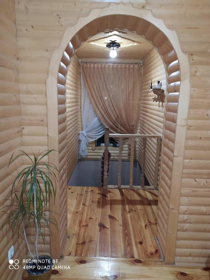 Карпатські Зорі Villa Pilipets Buitenkant foto