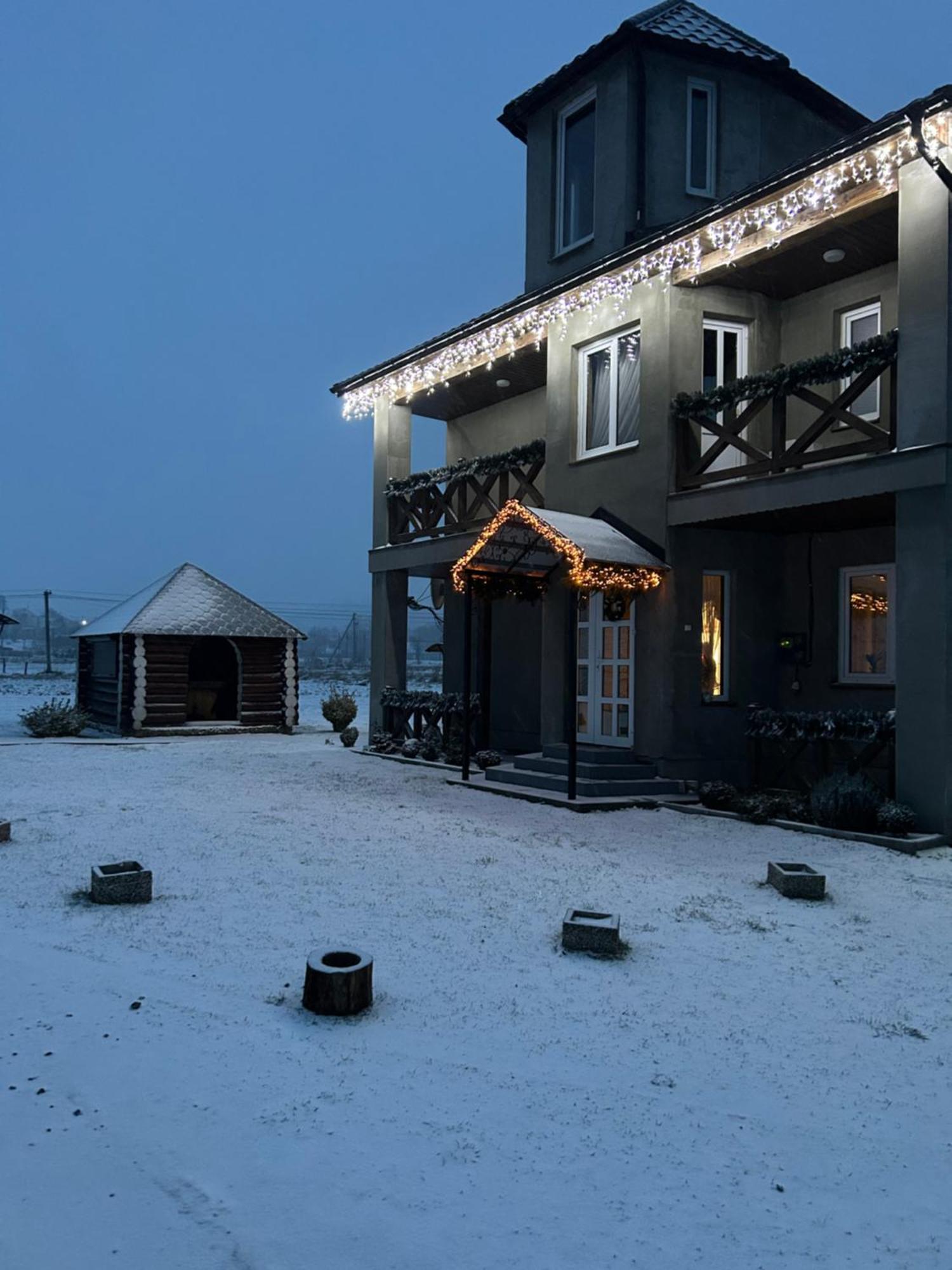 Карпатські Зорі Villa Pilipets Buitenkant foto