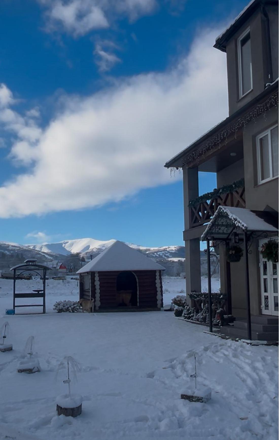 Карпатські Зорі Villa Pilipets Buitenkant foto
